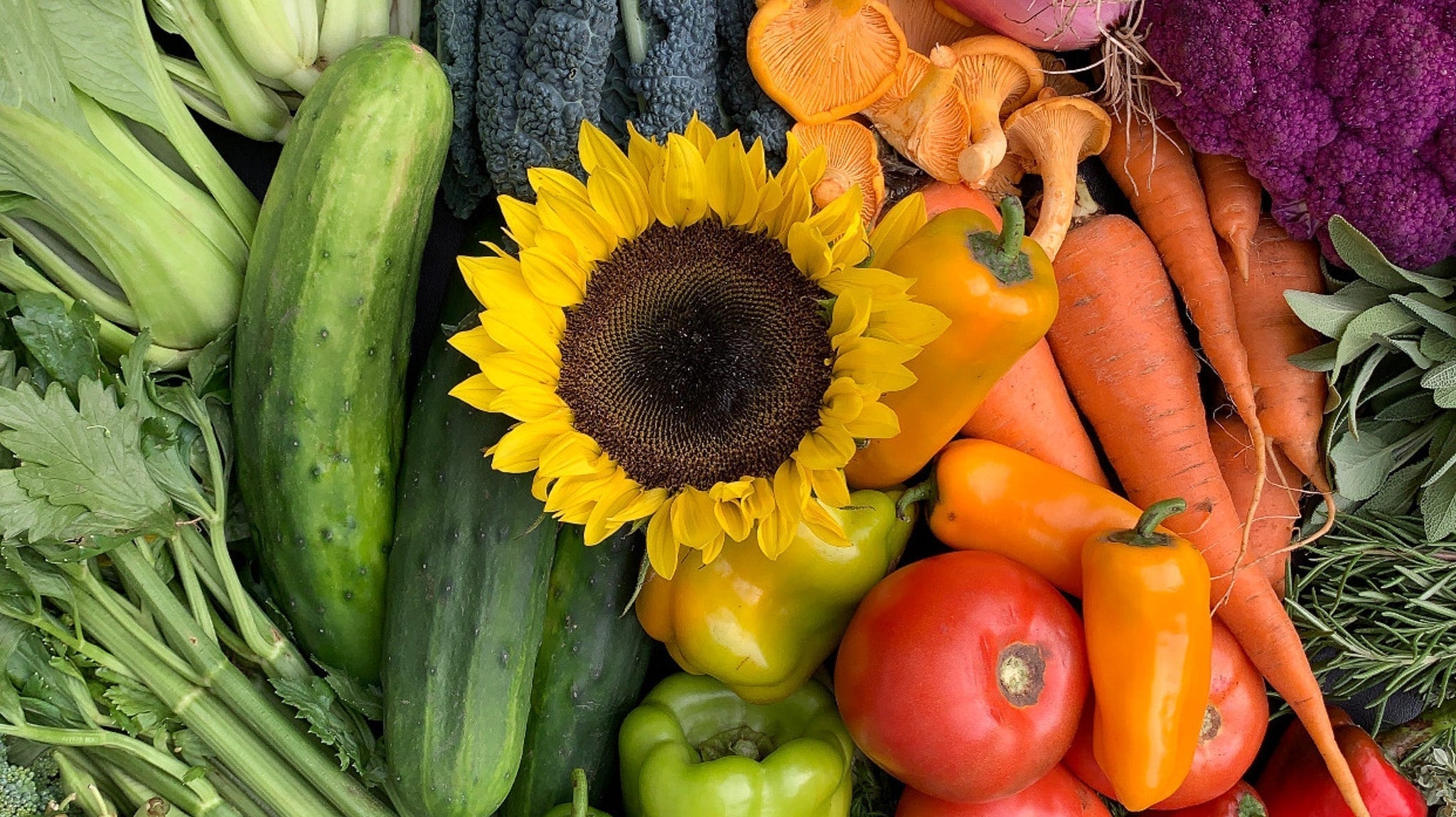 CSA Newsletter #1 2026 - Update, benefits and get your knife ready!