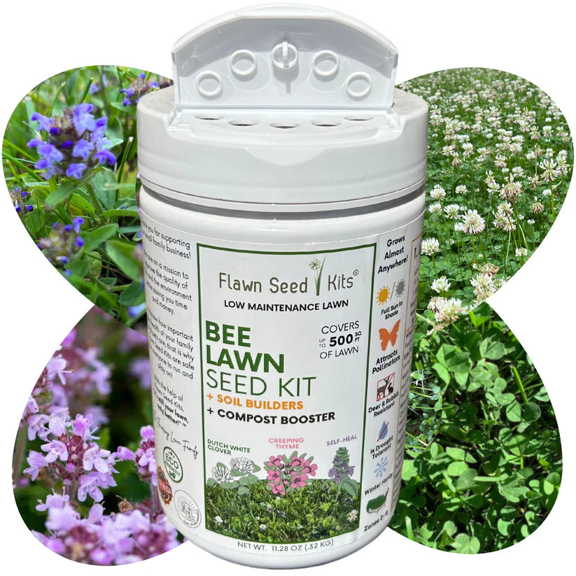 Flowering Pollinator Lawns